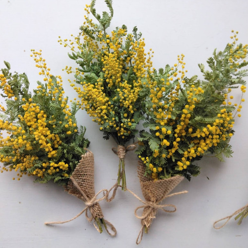 ミモザのドライフラワー（スワッグ） スワッグ nyao-mery 通販