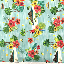 USAコットン　WINDHAM FABRICS　ウインダムファブリック　ISLA 2枚目の画像