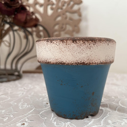 リメイク鉢　2.5号　ブルー　多肉植物 2枚目の画像