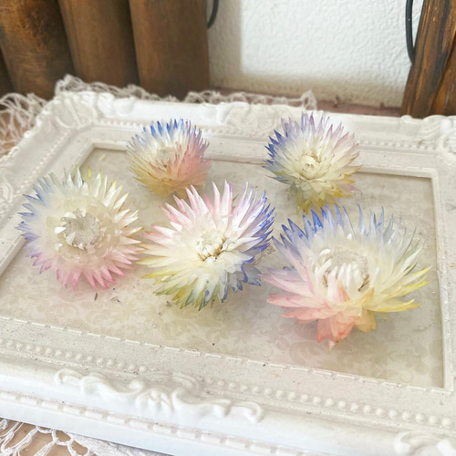 ミニシルバーデージーアレンジ加工パステルカラー❣️ハンドメイド花材 