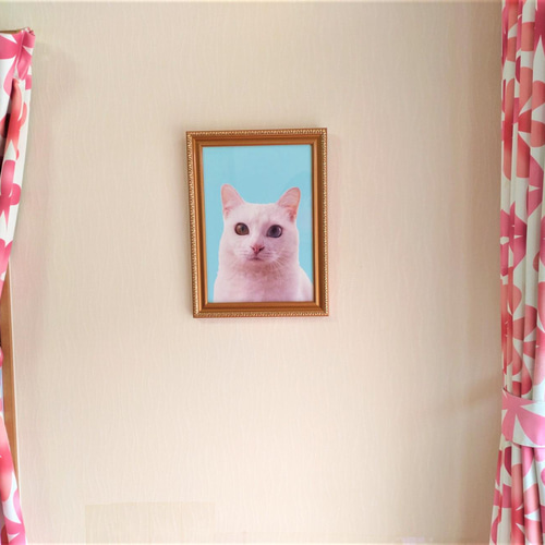 白猫オッドアイ」 額装写真 A4判 フォトフレーム・写真立て くみこ