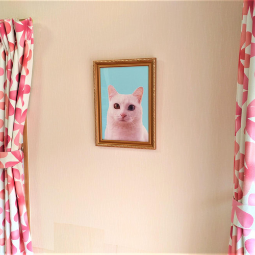白猫オッドアイ」 額装写真 A4判 フォトフレーム・写真立て くみこ