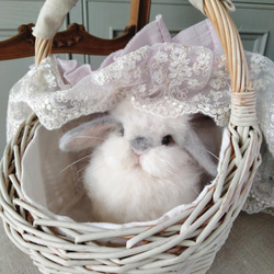 8ad6cc9d82b8672be5a572a7aea3a0