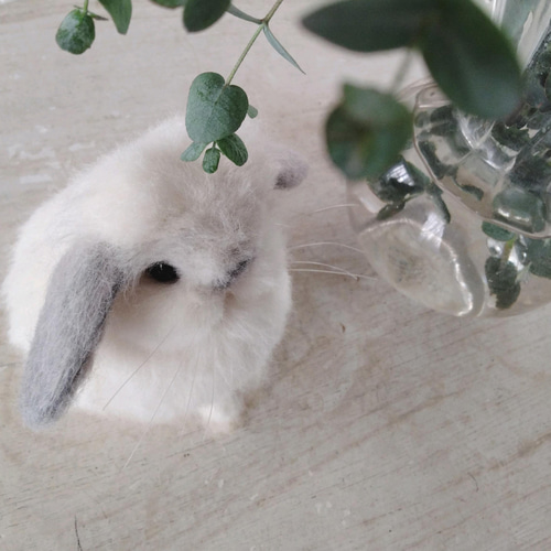 もふもふおしゃれうさぎ　羊毛フェルト うさぎ羊毛フェルトホーランドロップフォーン - Mucha | minne byGMO