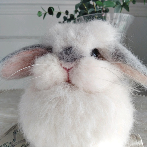 羊毛フェルト オーダー 「リアルで可愛いウサギちゃん」ホーランドロップイヤー 羊毛フェルト オーダー 「リアルで可愛いウサギちゃん」ホーラン