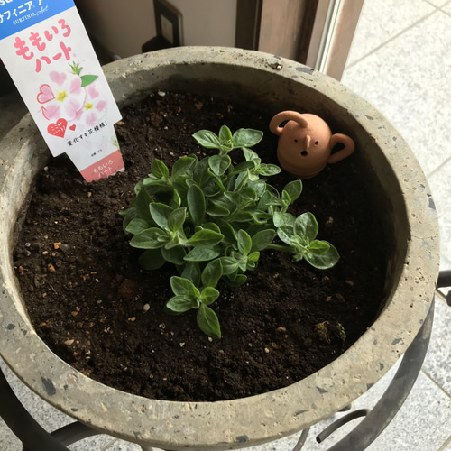 はにわの置物 その他置物 miraku 通販 13703371｜Creema(クリーマ