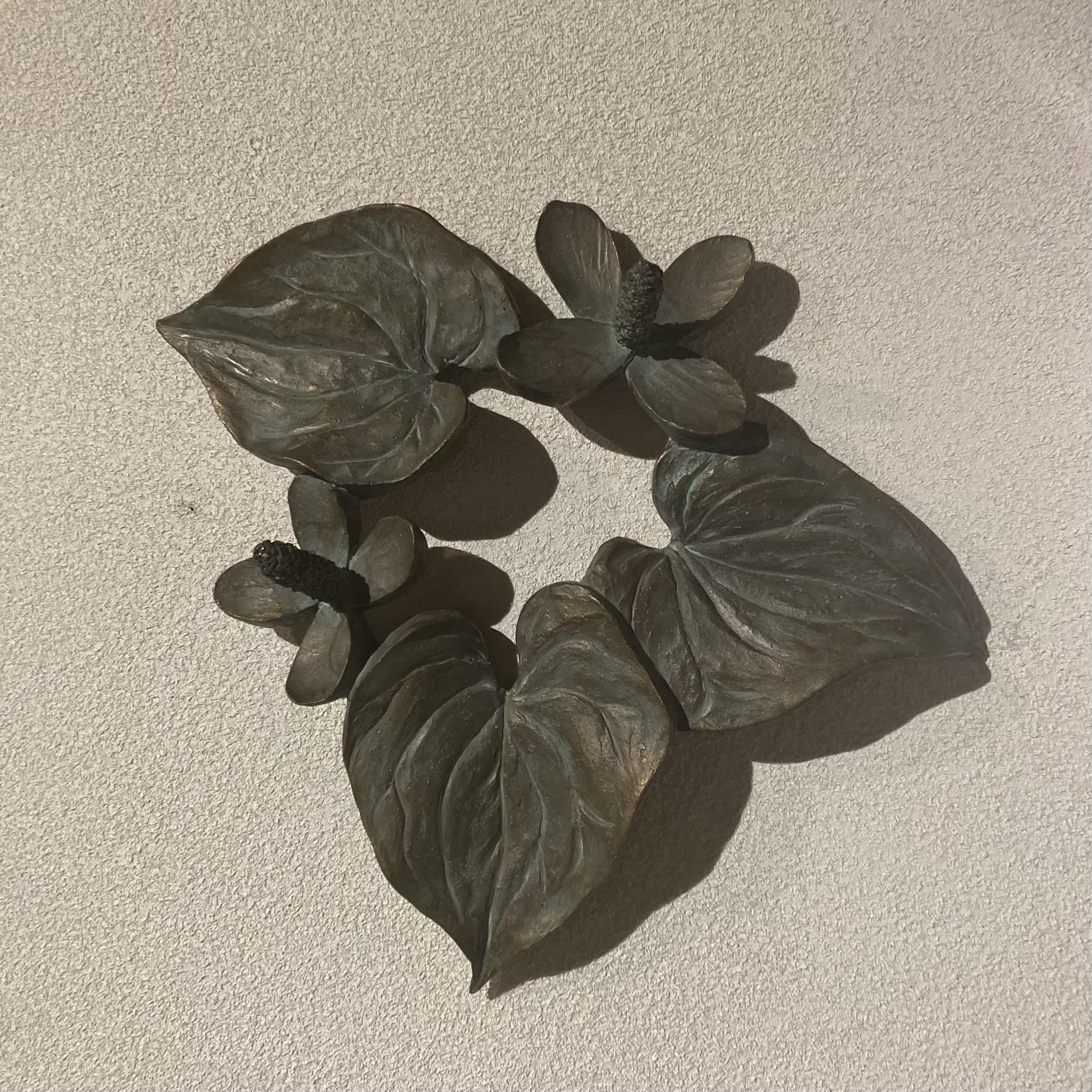 蕺蛇(ドクダミ)