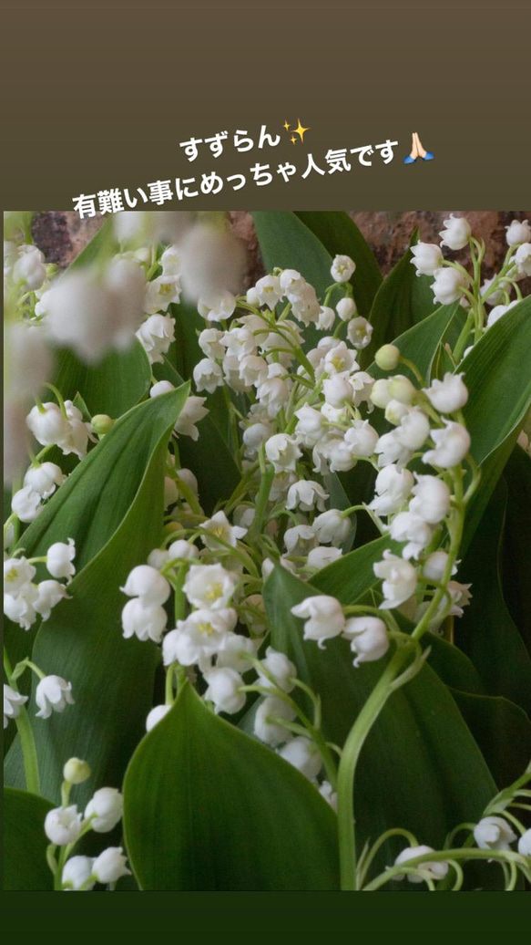 ご予約25日迄・すずらんのbouquet。生花。母の日。5月1日のみ 3枚目の画像