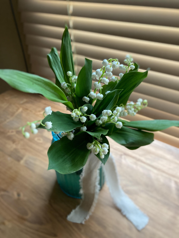 ご予約25日迄・すずらんのbouquet。生花。母の日。5月1日のみ 1枚目の画像