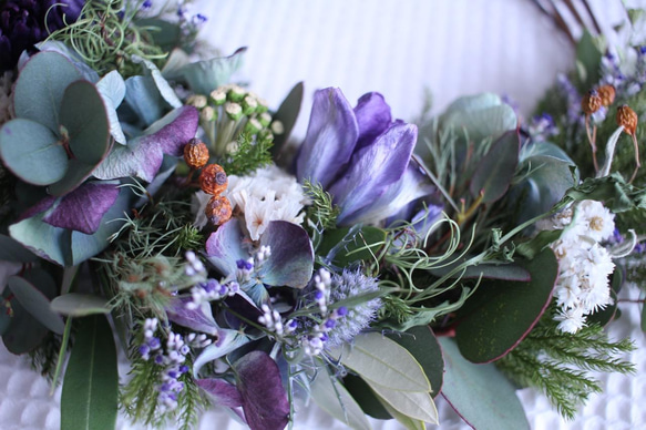 紫チューリップと白い小花の三日月リース✳︎ドライフラワー◎22センチ 3枚目の画像