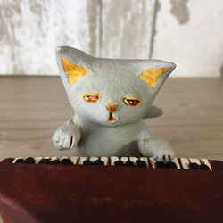 鋼琴貓（灰） 第5張的照片