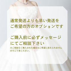 【送無・SpcialBox付】P027N018　Tiara Wedding 結婚式 Party 王道 揺れる 輝き キラ 14枚目の画像