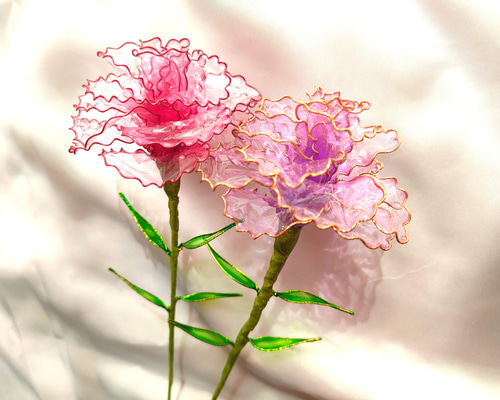 S*r様 カーネーション CARNATION EARLY YEARS BOX レ Early Years Box : カーネーション | HMV&BOOKS online - PCD