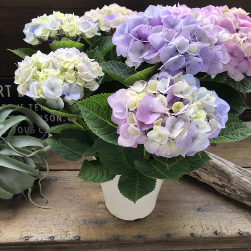 ピンクマーブルソーダ♡可愛い♡アジサイ♡紫陽花♡ 人造花 パリ 