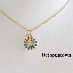 色鮮やかな色彩の魚』カクレクマノミとムーンストーンのマリン