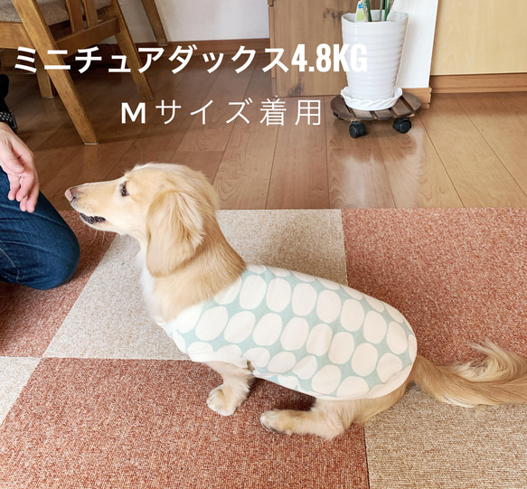 ミニチュアダックス服　ロンクサイズ　タンクトップ　ボーダー　レッド＆ネイビー　愛犬服　犬服　犬用タンク【受注製作品】 9枚目の画像