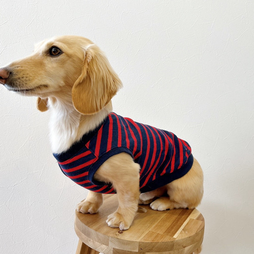 犬服タンクトップダックスちゃんサイズ赤ボーダーハンドメイド