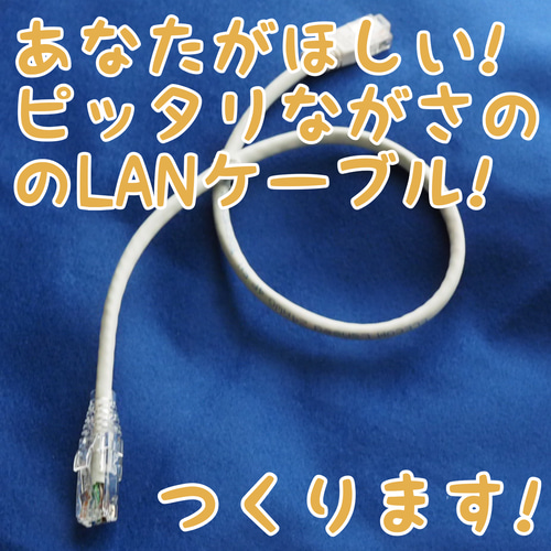 見た目スッキリ！1cmごと！ピッタリ長さのLANケーブル作ります！10cm 