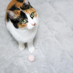 オーガニックコットンの手編みマカロンボール（モモ＆ミント）猫ちゃんのおもちゃ 3枚目の画像