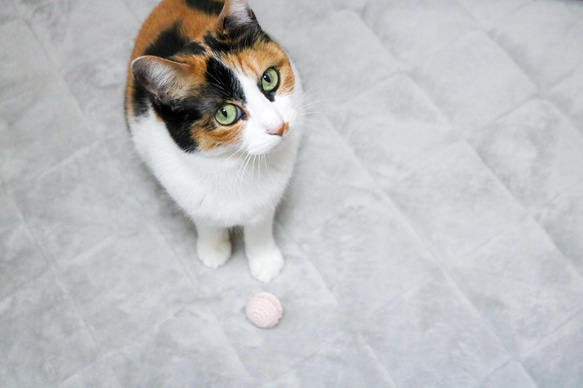 オーガニックコットンの手編みマカロンボール（モモ＆ミント）猫ちゃんのおもちゃ 3枚目の画像