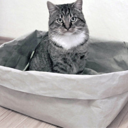 即納｜レザーのような手触り 丈夫＆洗える 猫の紙袋 ベッド ウォッシャブルペーパー （グレー） 1枚目の画像