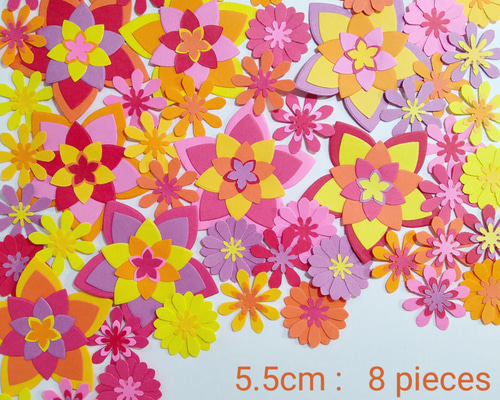 2ebdd8914a4f87ce5453229969ed9c