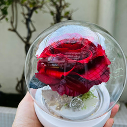Floral Footprint 小王子的玫瑰 夜燈 厄瓜多永生玻璃花盅 厄瓜多 /情人禮品  /生日禮物 第3張的照片