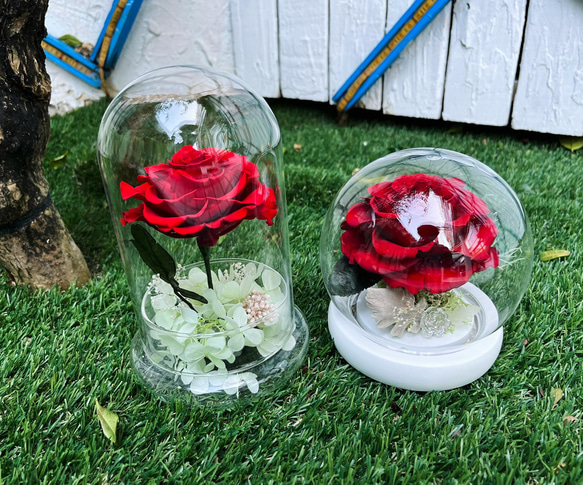 Floral Footprint 小王子的玫瑰 夜燈 厄瓜多永生玻璃花盅 厄瓜多 /情人禮品  /生日禮物 第2張的照片
