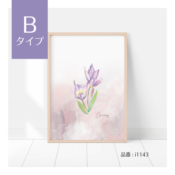 選べる！クロッカスやムスカリのポスター 冬から春の球根の花　ボタニカル　インテリアポスター 5枚目の画像