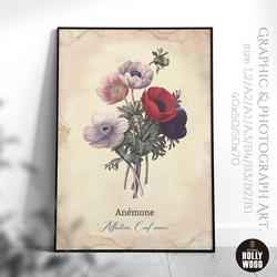 ☆インテリアアートポスター -Anemone-【031】 1枚目の画像