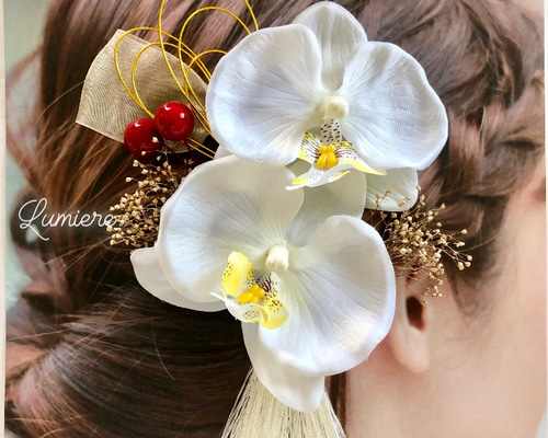 d210e3bb00eed68864fab71373bccf