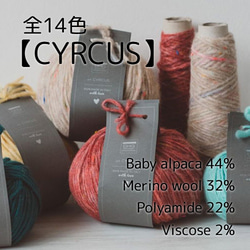 【D3】在庫限り！イタリア製 アルパカ混毛糸 -CYRCUS-【輸入毛糸】 1枚目の画像