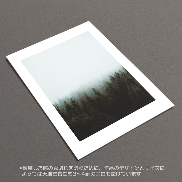 ☆インテリアフォトポスター -forest-【057】 6枚目の画像