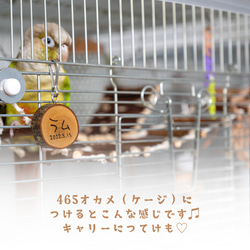 インコちゃんの✩.*˚天然木のお名前プレート　 手書きで名入れします♪ 5枚目の画像