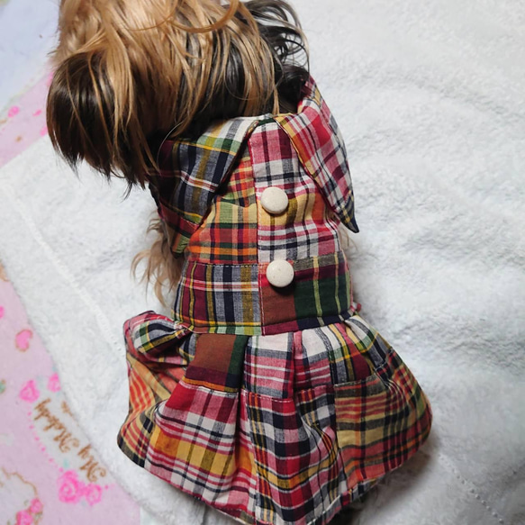 新柄再販●着せやすい犬服・マドラスチェックが可愛らしいワンピースorスモック♪オーダーメイドで！ 2枚目の画像