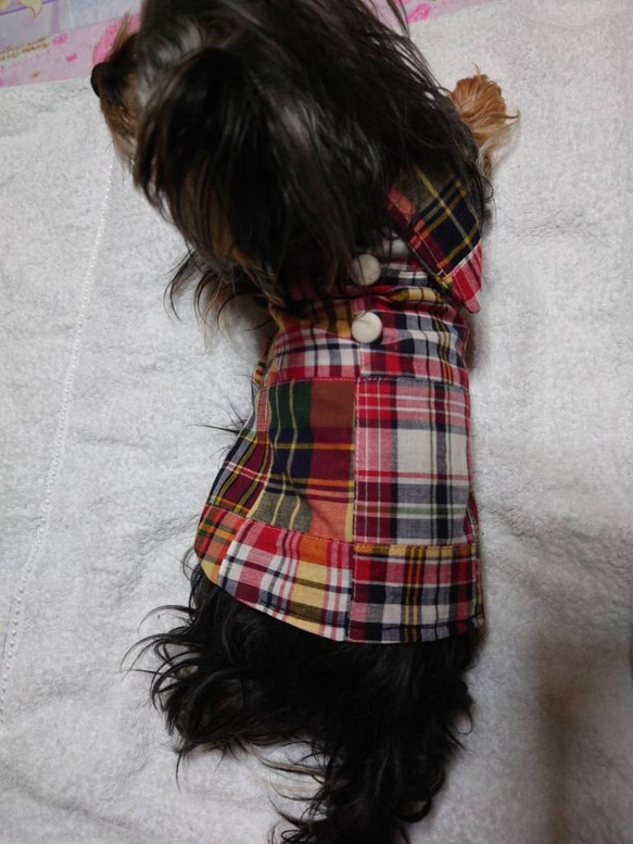 新柄再販●着せやすい犬服・マドラスチェックが可愛らしいワンピースorスモック♪オーダーメイドで！ 3枚目の画像