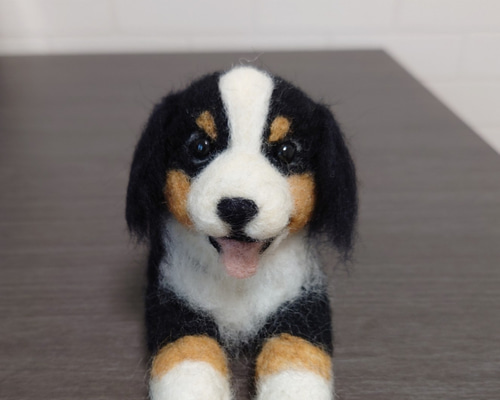 ちくたく　羊毛フェルト犬　 コーギー×コッカー＝バーニーズ？ 羊毛フェルト 犬 コーギー ウェルシュ・コーギー 犬フィギュア | iichi