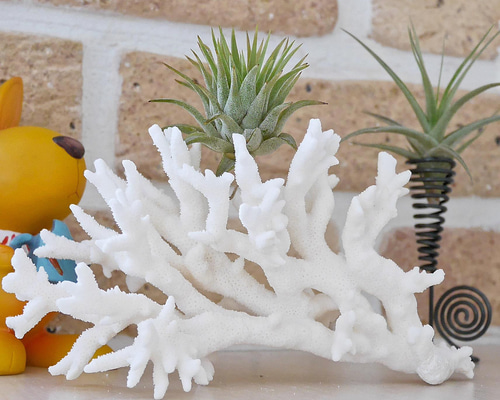 9b1e14cbe687b0c08efbc680af2859