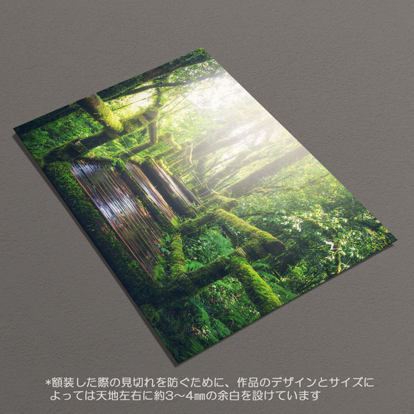 ☆インテリアフォトポスター -forest-【077】 6枚目の画像