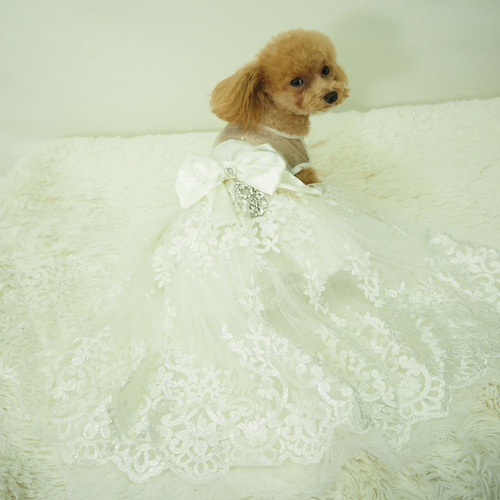 ドレス dress ウェディング パーティー 撮影 ドックウェア 犬 猫 服 犬