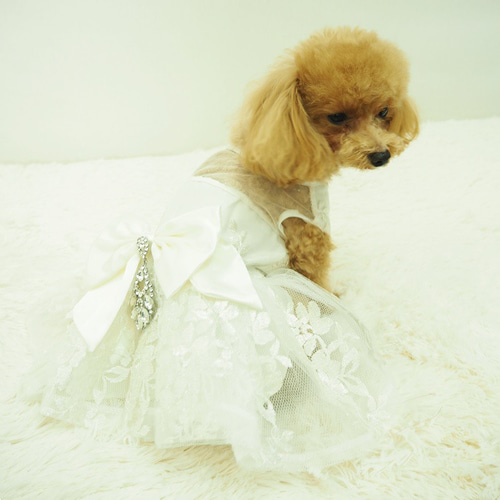 ドレス dress ウェディング パーティー 撮影 ドックウェア 犬 猫 服 犬