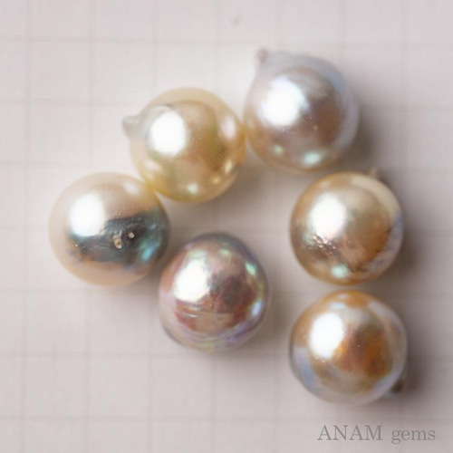 4粒】【完全無処理】あこやパール ルース 9mm 浜揚げ珠 あこや 4粒】【完全無処理】あこやパール ルース 9mm 浜揚げ珠 あこや