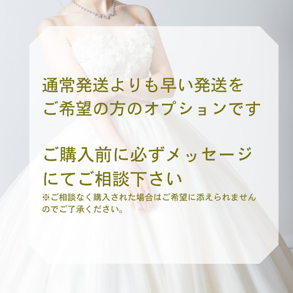 ティアラ ブライダルアクセサリー 結婚式 動画あり・送料無料・SpecialBox付 T005 ボタニカル 8枚目の画像