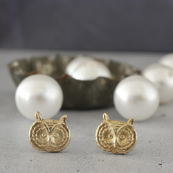 FOSSIL フォッシル フクロウふくろうのバングル＆ピアス - メルカリ