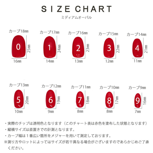  第8張的照片