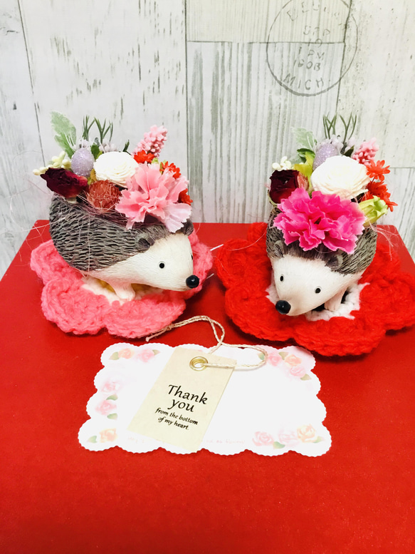 母の日限定カーネーションハリネズミちゃん受注制作✨ 4枚目の画像