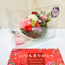 母の日限定カーネーションハリネズミちゃん受注制作✨ 5枚目の画像