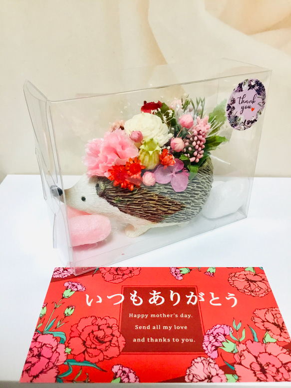 母の日限定カーネーションハリネズミちゃん受注制作✨ 5枚目の画像