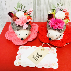 母の日限定カーネーションハリネズミちゃん受注制作✨ 6枚目の画像