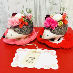 母の日限定カーネーションハリネズミちゃん受注制作✨ 2枚目の画像